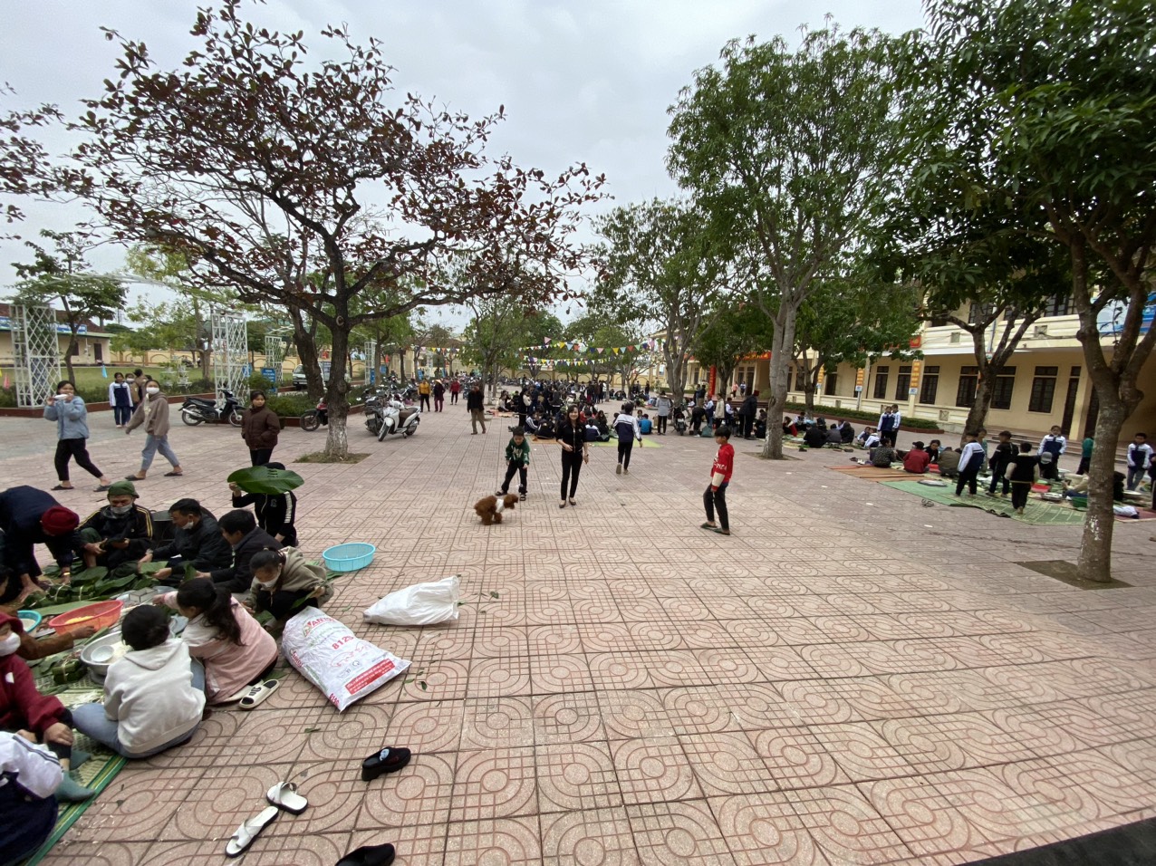 2c0708b3ae50760e2f41